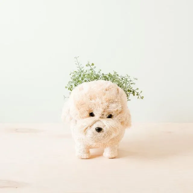 Poodle Planter - Coco Coir Pots | LIKHA