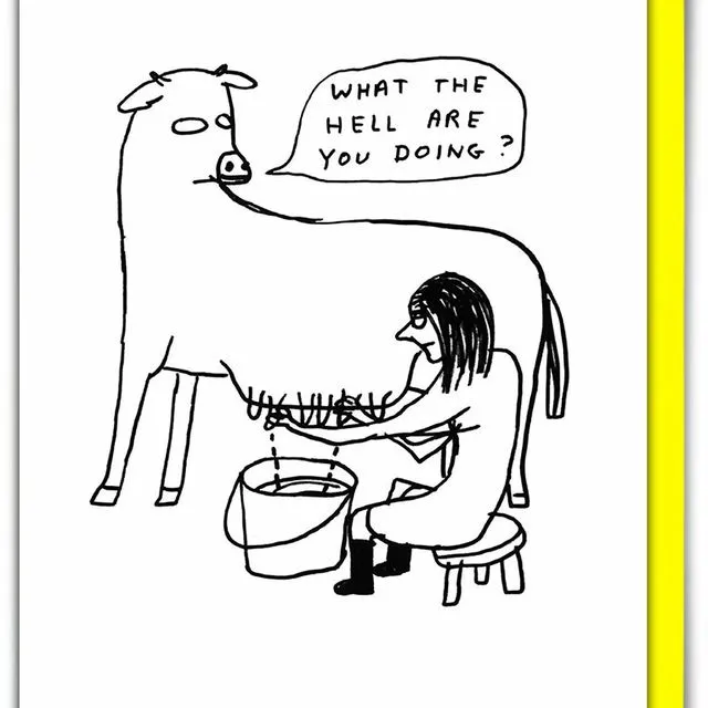 David Shrigley Funny Card What The Hell Funny