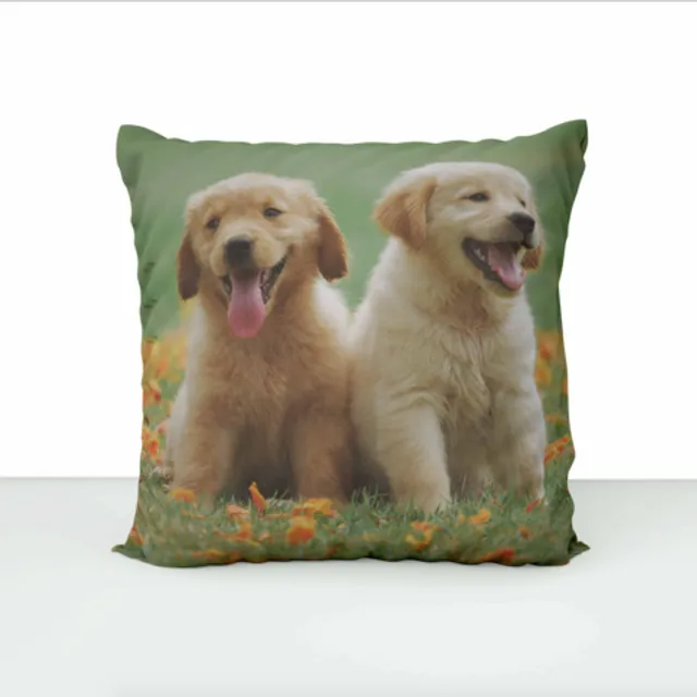 Decorative pillow - golden retriever puppies