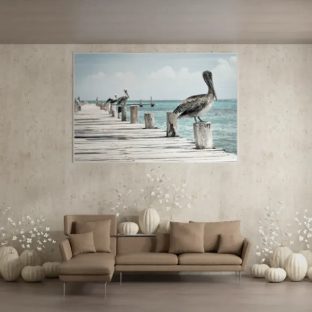Wanddeocratie, Pelicans, verkrijgbaar in plexiglas, dibond en canvas