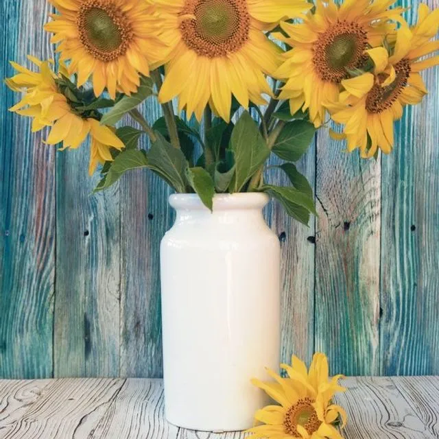 Wanddecoratie, Sunflowers in white vase, verkrijgbaar op canvas, dibond en plexiglas