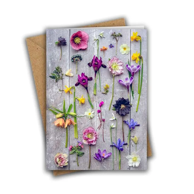 Spring Flowers Greeting Card