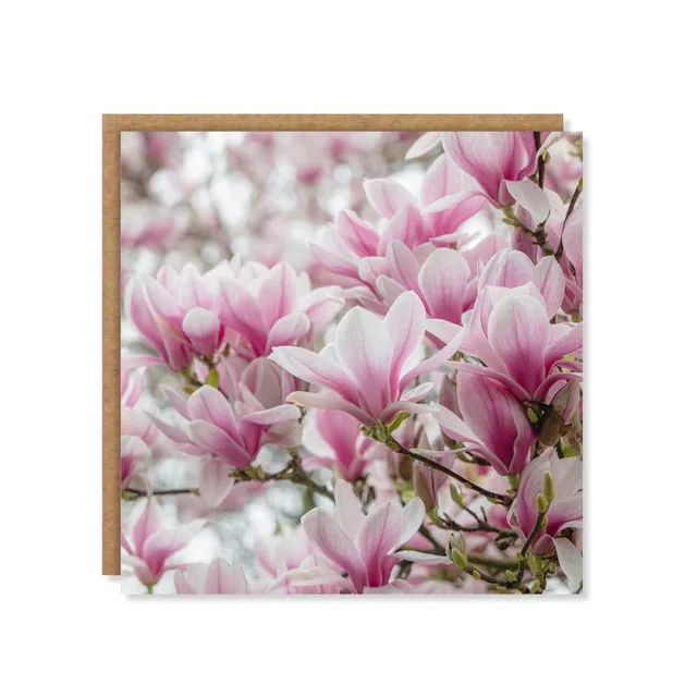 Magnolia Blossom Greeting Card