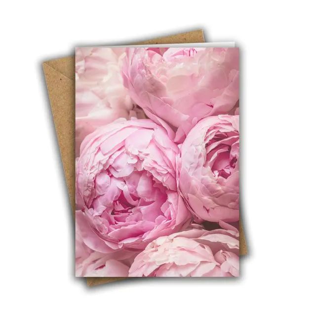 Pink Peonies Greeting Card