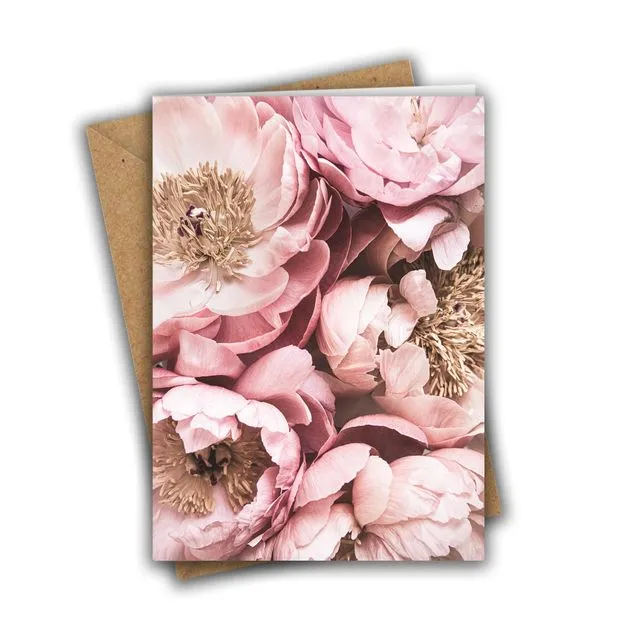 Blush Pink Peonies Greeting Card