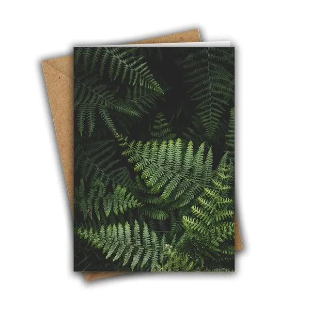 Green Ferns Greeting Card