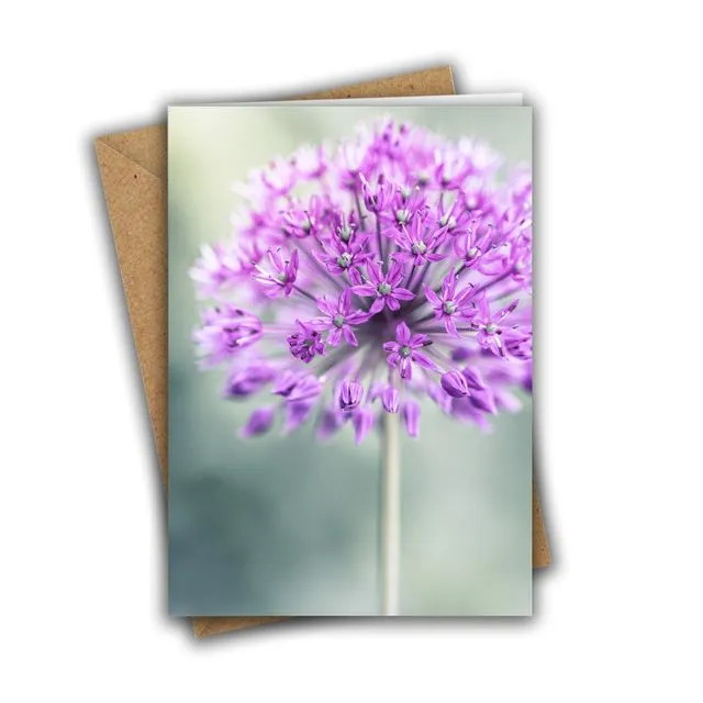 Allium Greeting Card