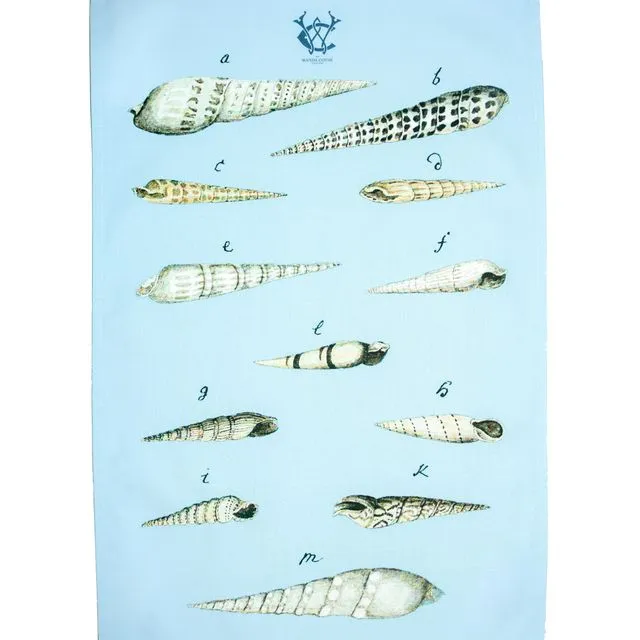Mid 1700s Spire Mollusc Tea Towel Pale blue