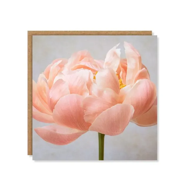 Large Peony Floral Greeting Card