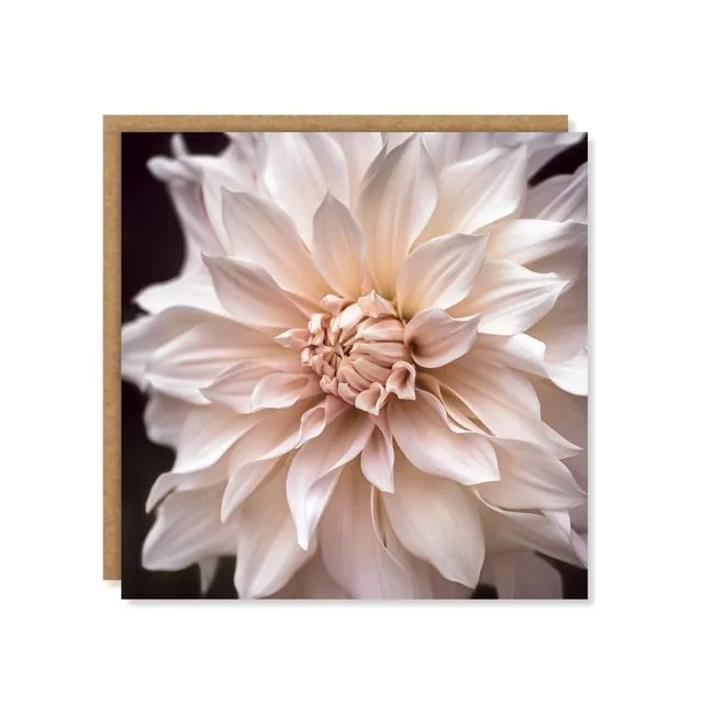 Cream Dahlia Floral Greeting Card