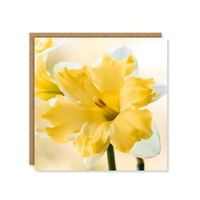 Daffodil Yellow Floral Greeting Card