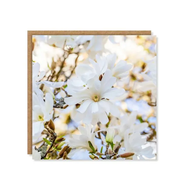 White Magnolia Floral Greeting Card