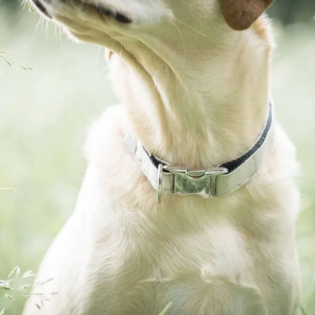Dog Collar - fern