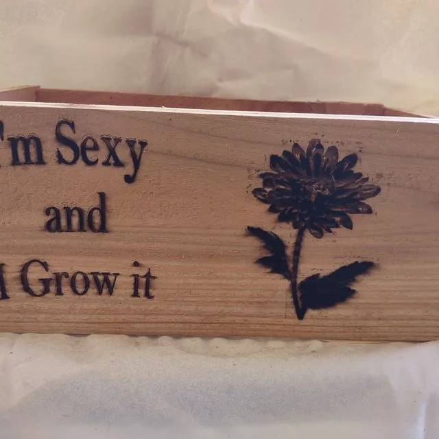 Planter box I'm sexy and I grow it