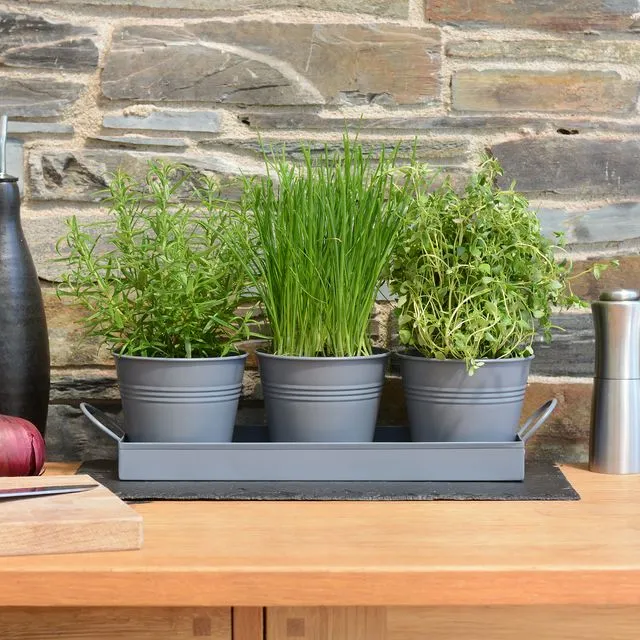 Set of 3 Metal Herb/Plant Pots with Drip Tray (Charcoal Grey)