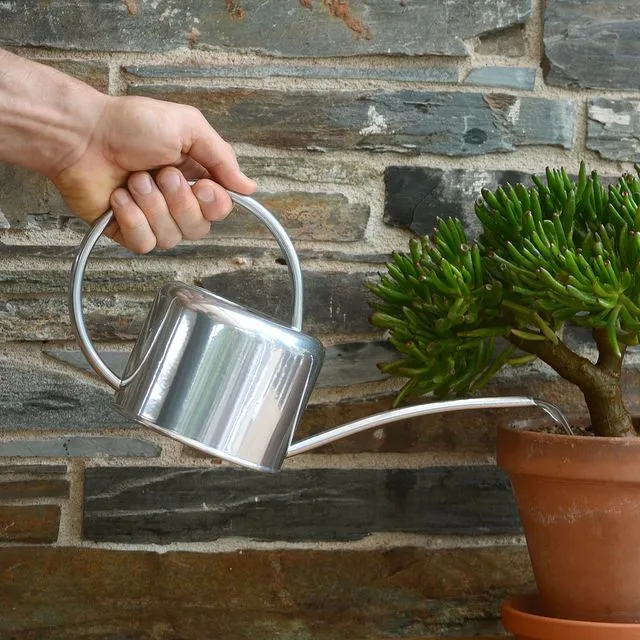 1.1L Indoor Watering Can (Silver)