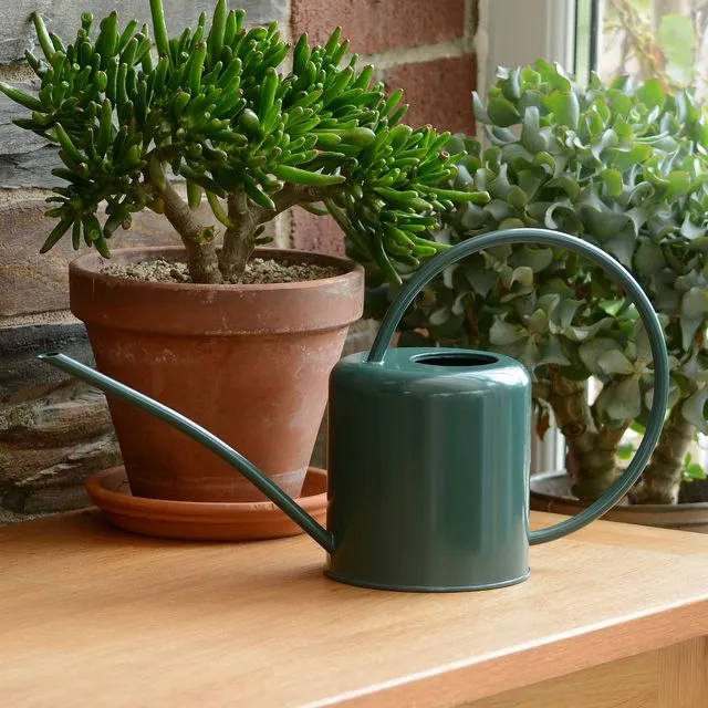 1.4L Indoor Watering Can (Dark Green)