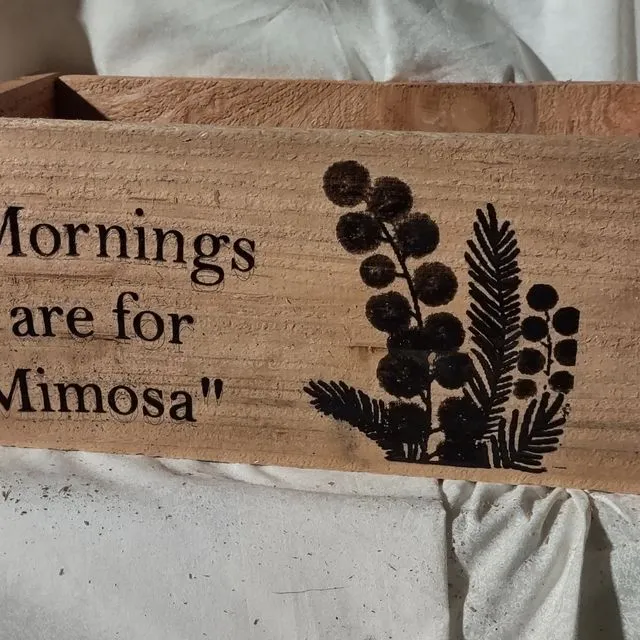 "Mornings are for Mimosa"