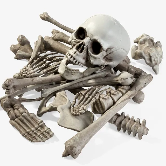 26 piece bag of bones