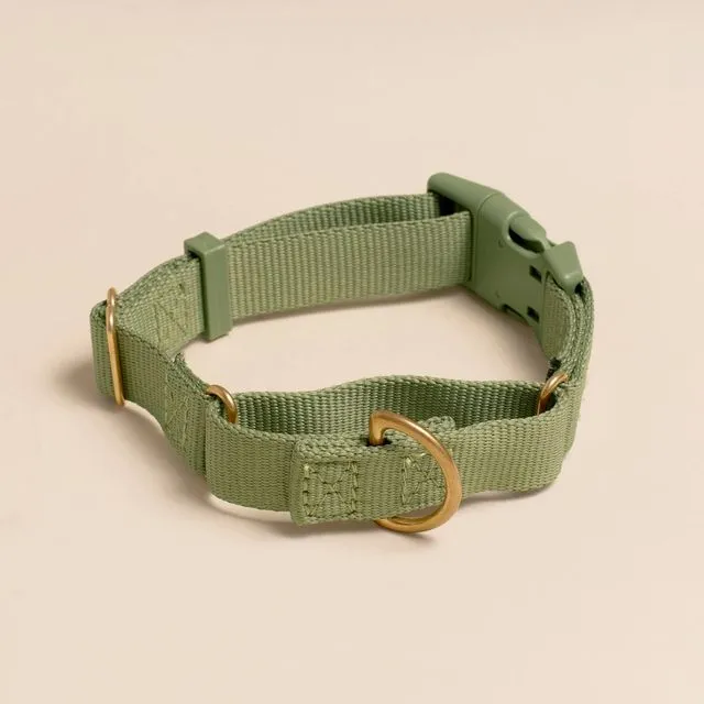Olive Marty Collar