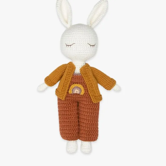 Crochet Doll / Ilan the bunny