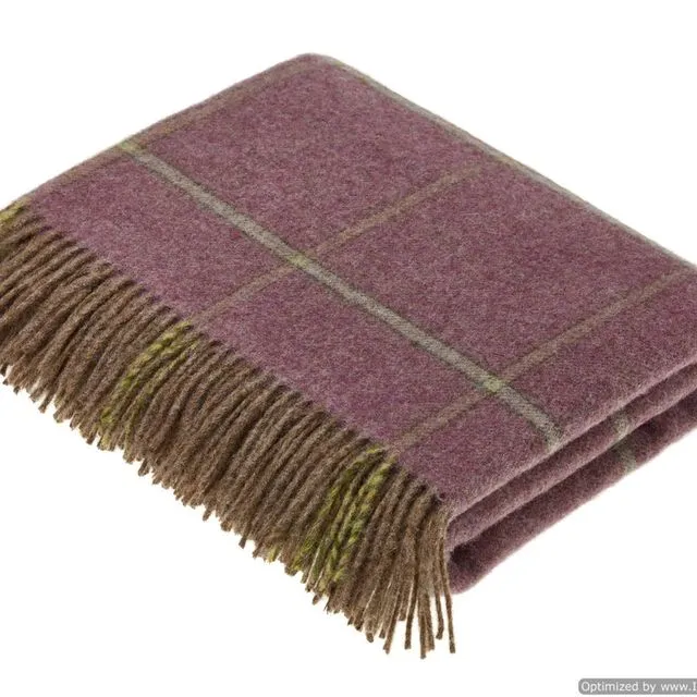Shetland Quality - Pure New Wool - Throw Blanket - Kingham Heather - Bronte by Moon