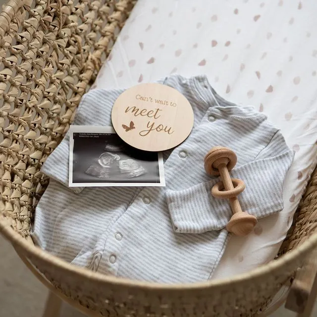 Pregnancy Wooden Milestone Discs - Capture Your Milestones