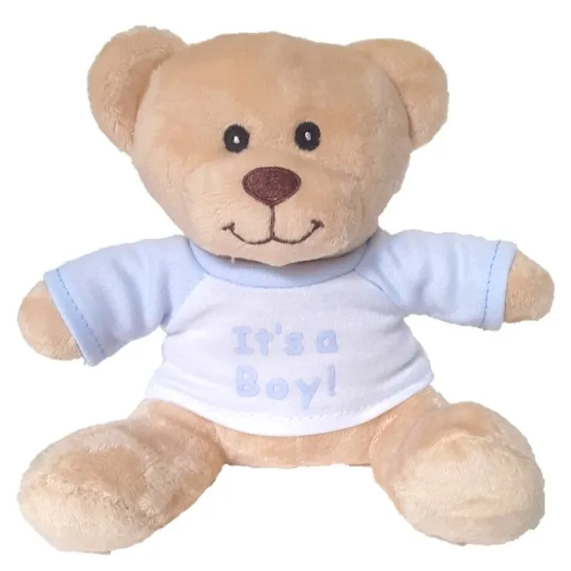 "It's a Boy!" Small &amp; Super Cute Teddy Bear