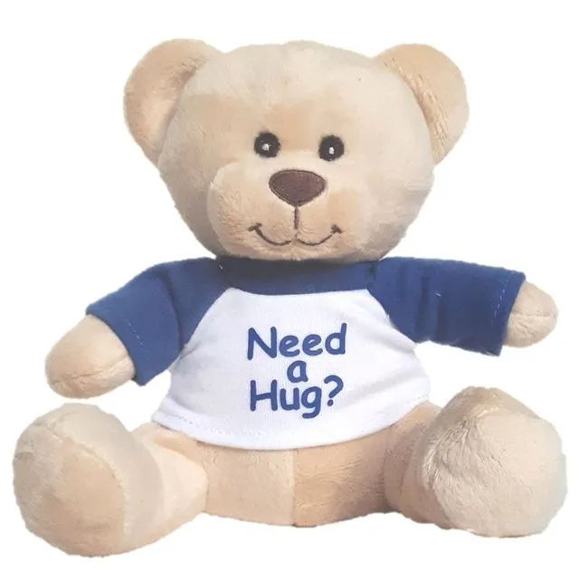 "Need a Hug?" Small Super Cute Teddy Bear