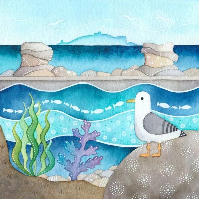 Seagull & Seaweed - Seaside Limited Edition Signed Art Print - Watercolour Painting - East Neuk of Fife, Scotland