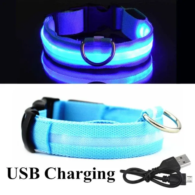 Glowing Blue USB
