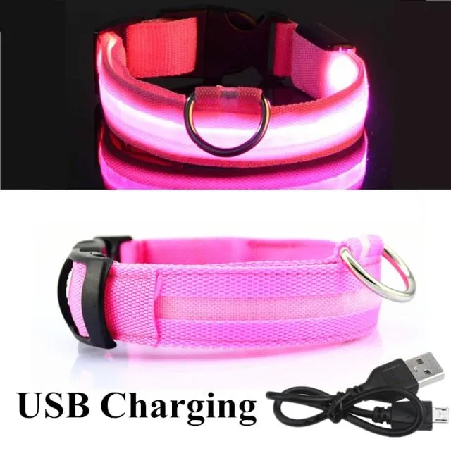 Glowing Pink USB