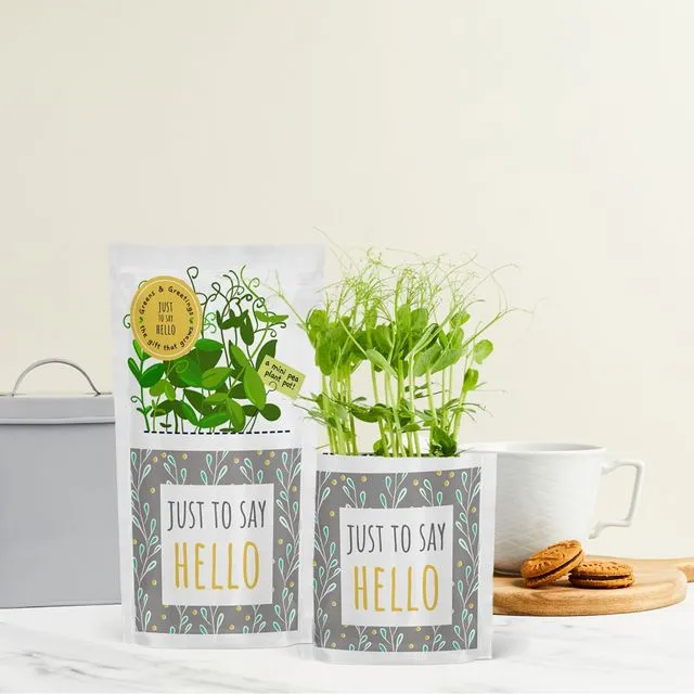 Just to Say Hello greeting card seed gift - Greens & Greetings