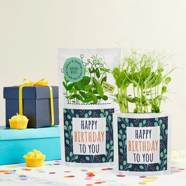 Happy Birthday greeting card seed gift - Greens & Greetings