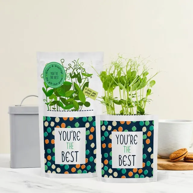 You're the Best greeting card seed gift Father's Day - Greens & Greetings