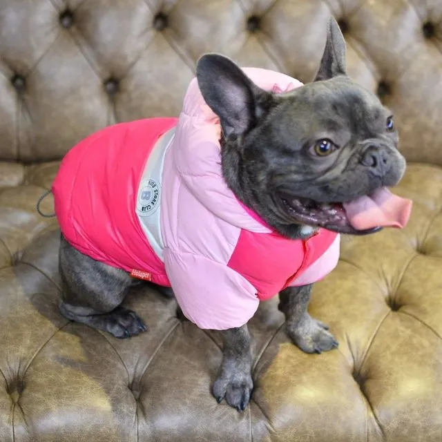 Puffer Dog Jacket Pink
