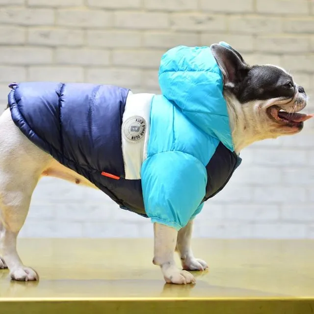 Puffer Dog Jacket Blue