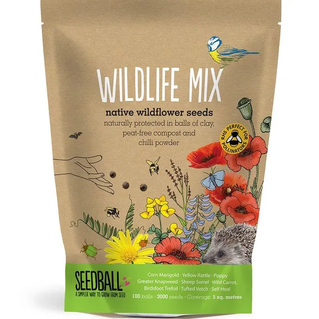 Five Wildflower Seedball Wildlife Mix Packets