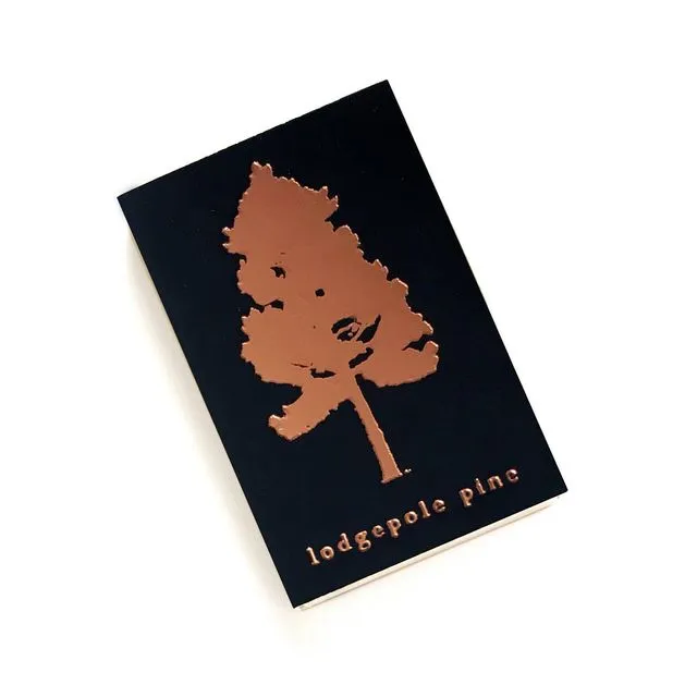 Lodgepole Pine Tree Matchbox
