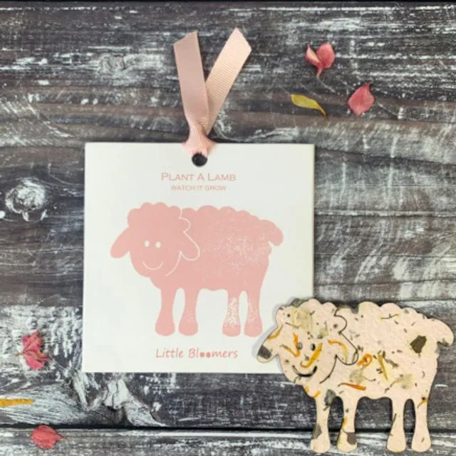 Plant A Lamb Seed Paper Card