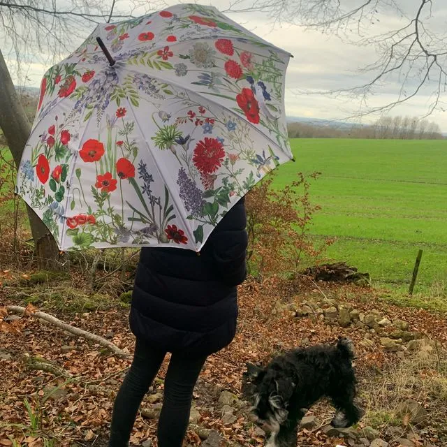 Umbrella - Poppy fields