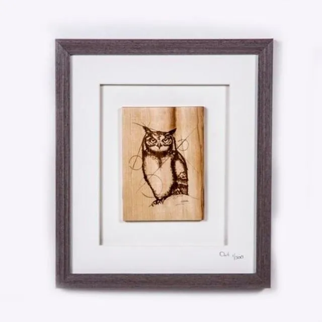 The Native Collection framed OWL (limited edition) Small