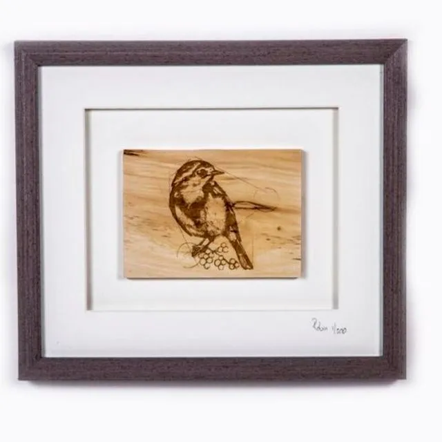 The Native Collection framed ROBIN (limited edition) Small