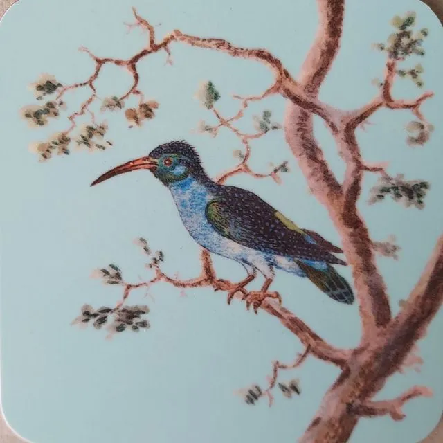 Melamine Coaster Drinks Mat 16thC Hummingbirds Duck Egg Blue
