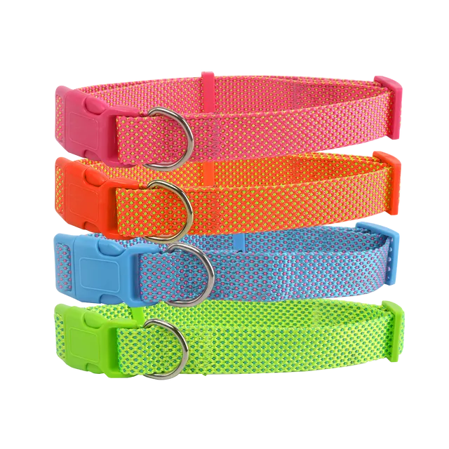 Dog Collar W1.0*L20-30Cm Pink/Fluorescent Orange/Fluorescent Green/Pale Blue
