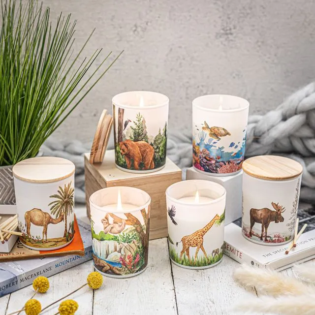 Save The Planet Candle Collection | All styles Bundle