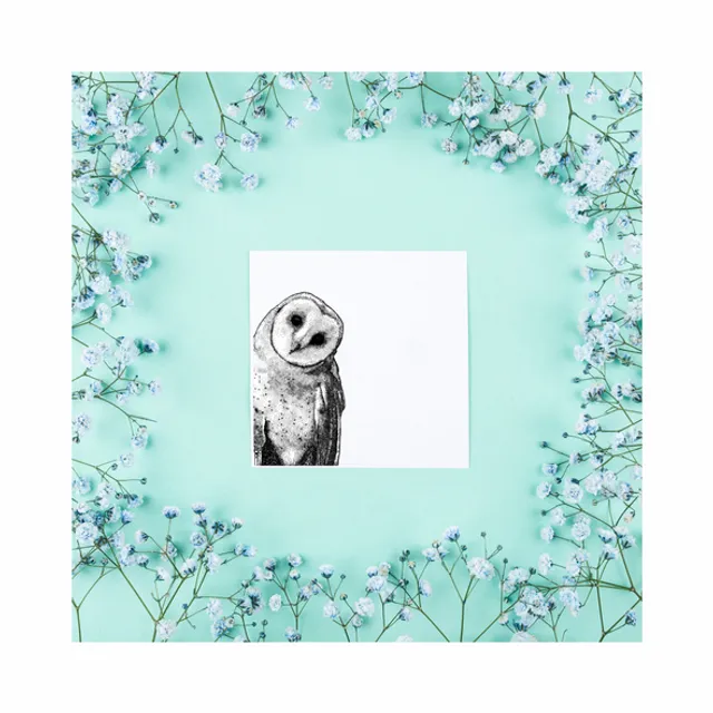 Owl Pointillism Square Cards