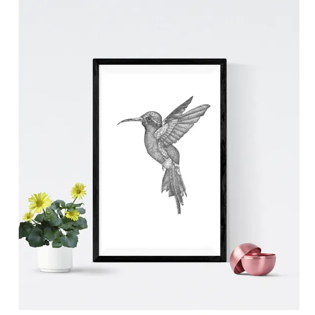 Hummingbird Pointillism Pen Illustration