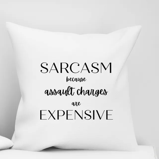 Funny Pillow Cover - Assault Charges