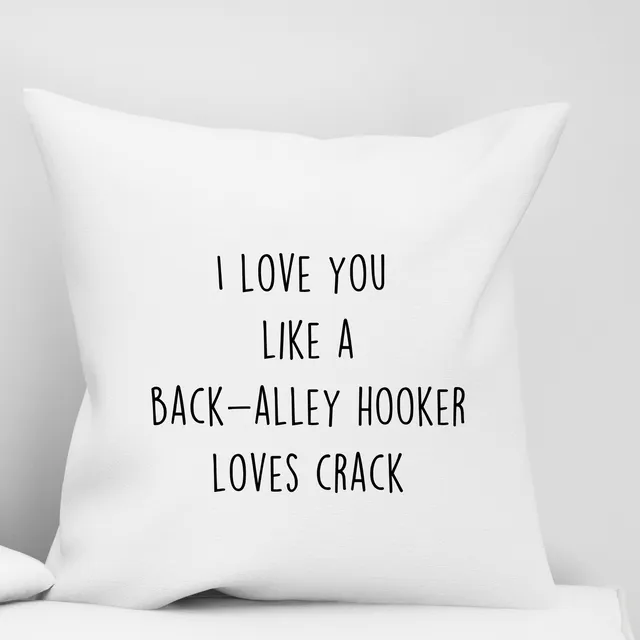 Funny Pillow Cover - Back-Alley